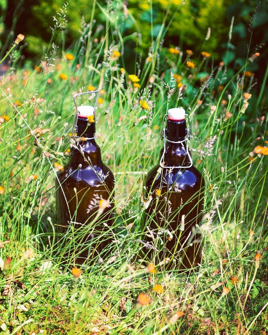 HOMEMADE GINGER BEER