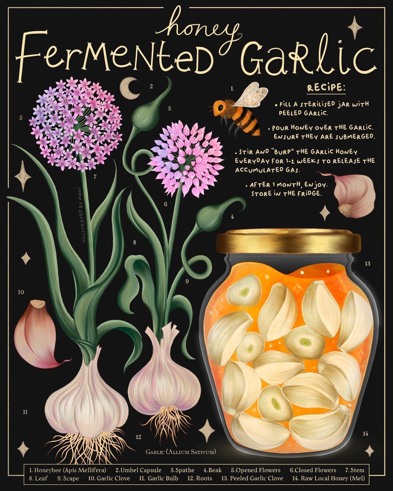 HONEY FERMENTED GARLIC