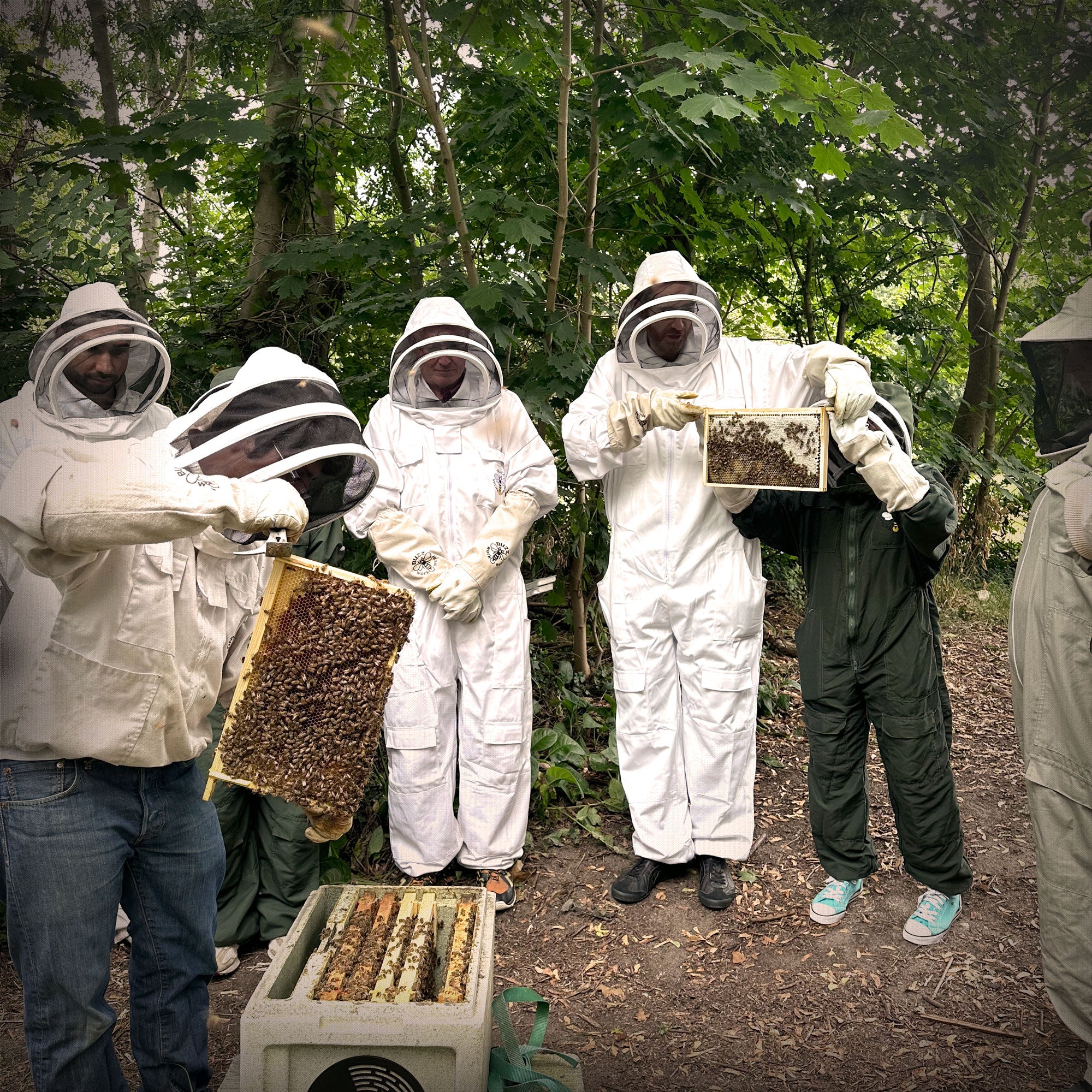 The Art of Beekeeping Workshop