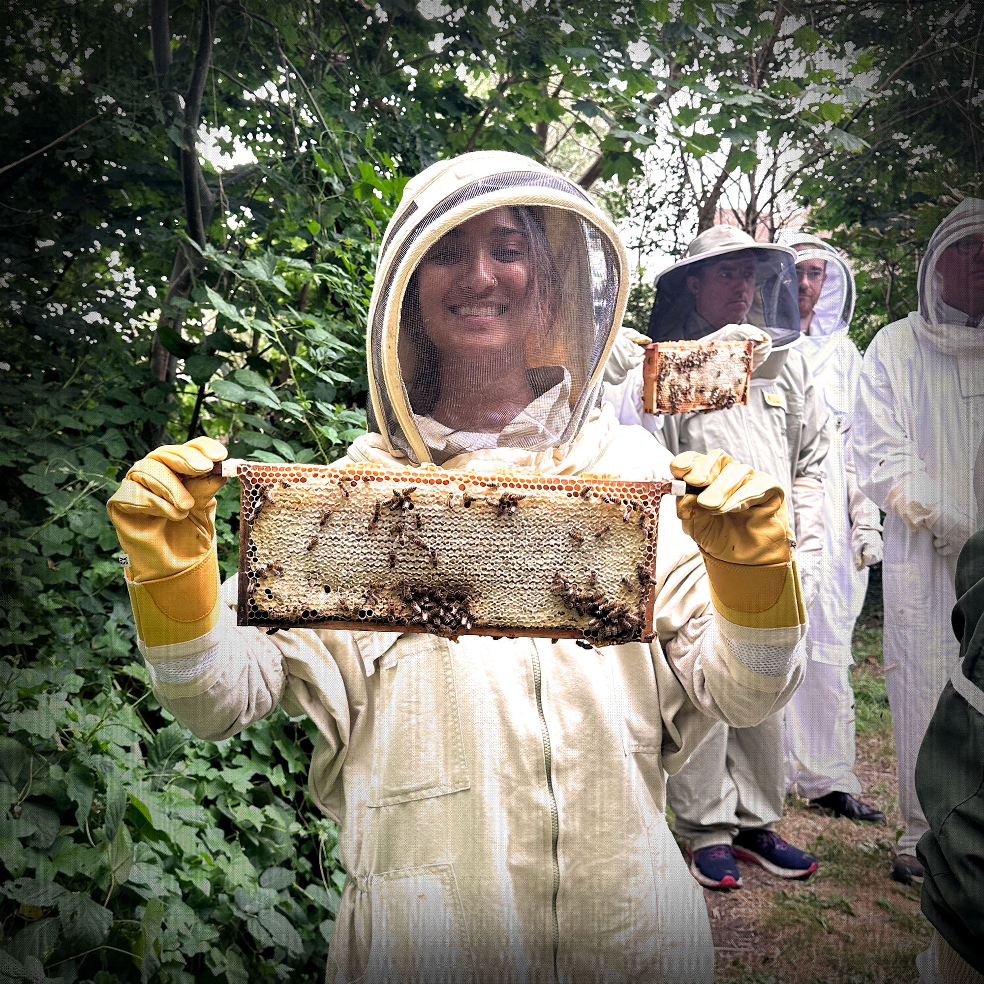 The Art of Beekeeping Workshop